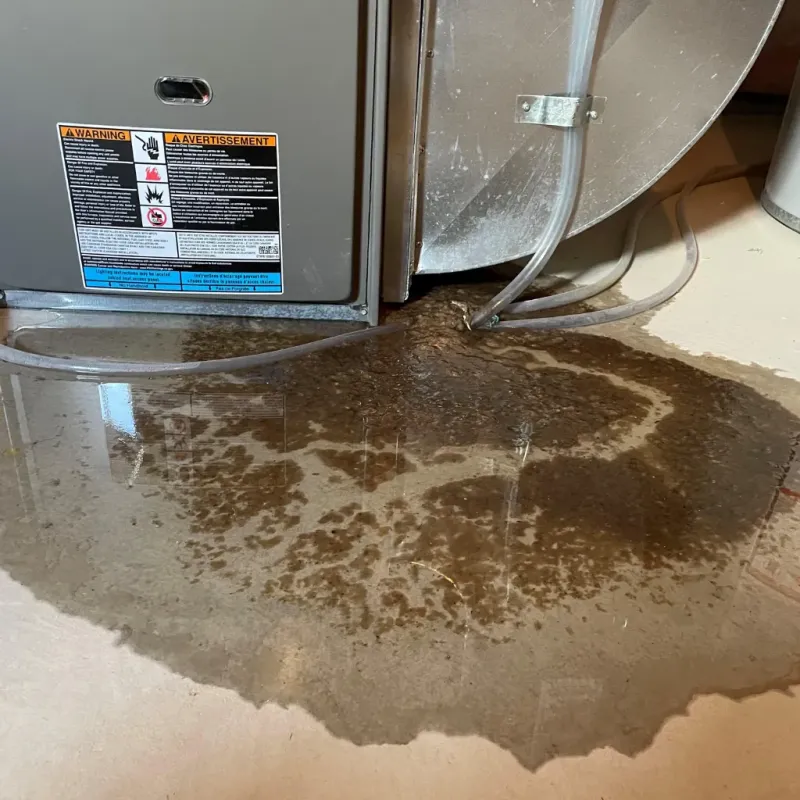 Appliance Leak Cleanup in South Sioux City, NE